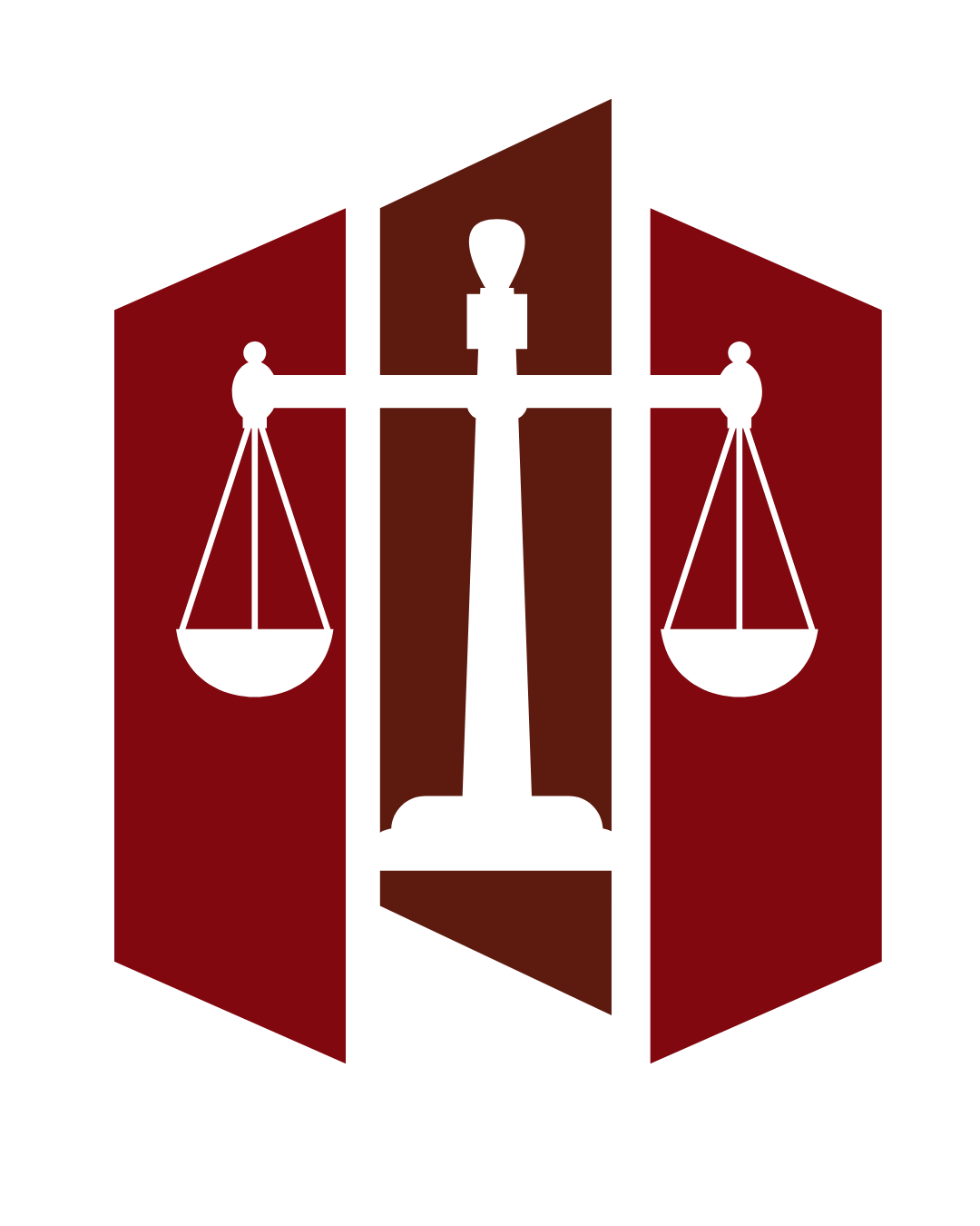 CONSTITUTIONAL LAW